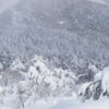 Thumbnail of new posts 171