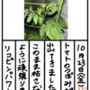 Thumbnail of new posts 108