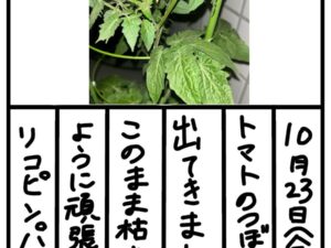 Thumbnail of post image 107
